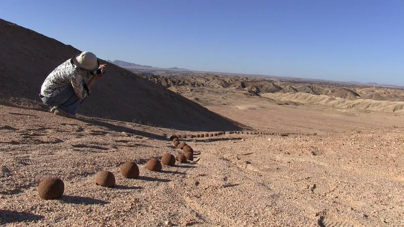 Working with dung beetle balls in the Moon valley, Namibia